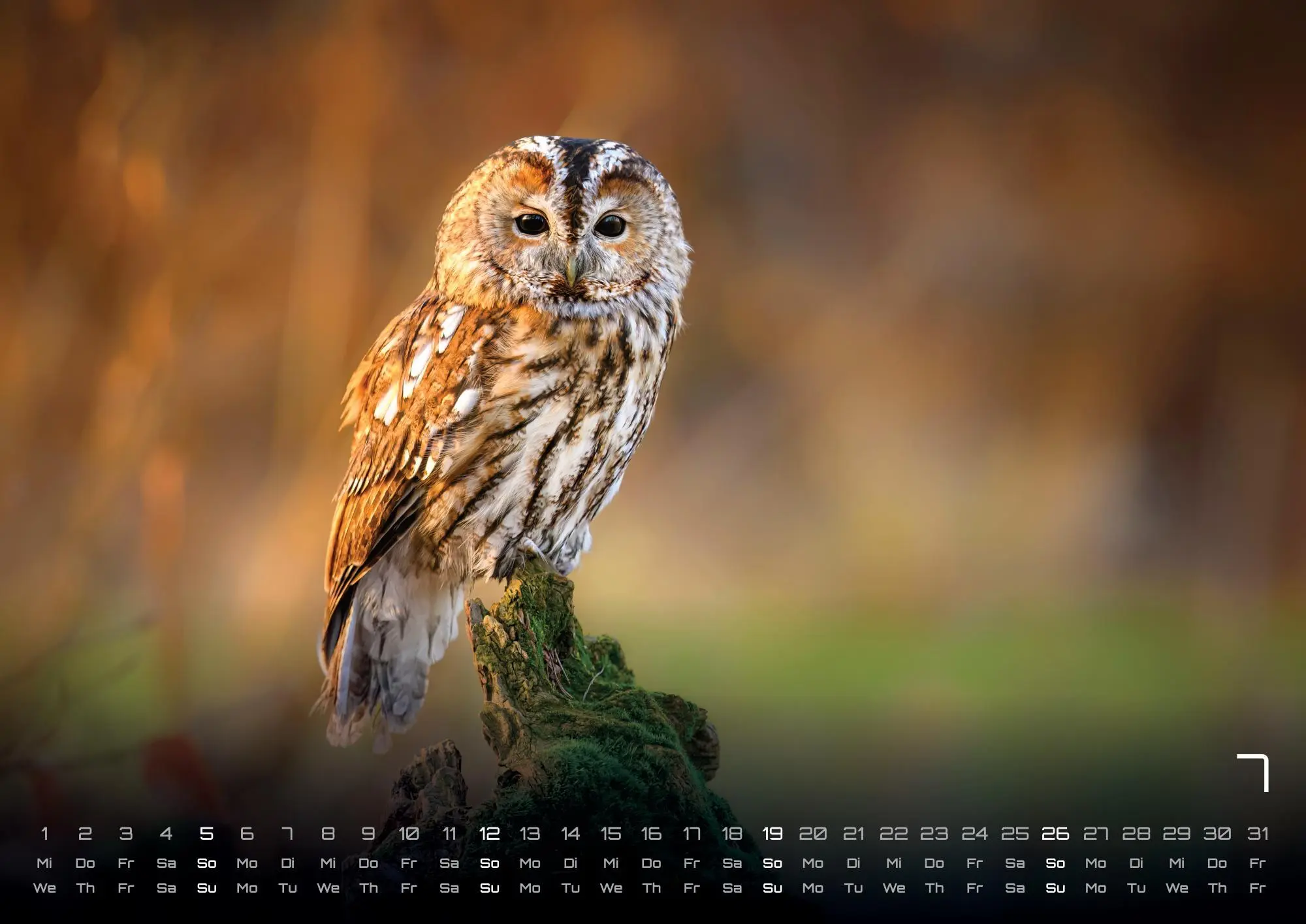 Bild: 9783986736033 | Waldtiere - Heimische Waldbewohner - Der Tierkalender - 2026 -...
