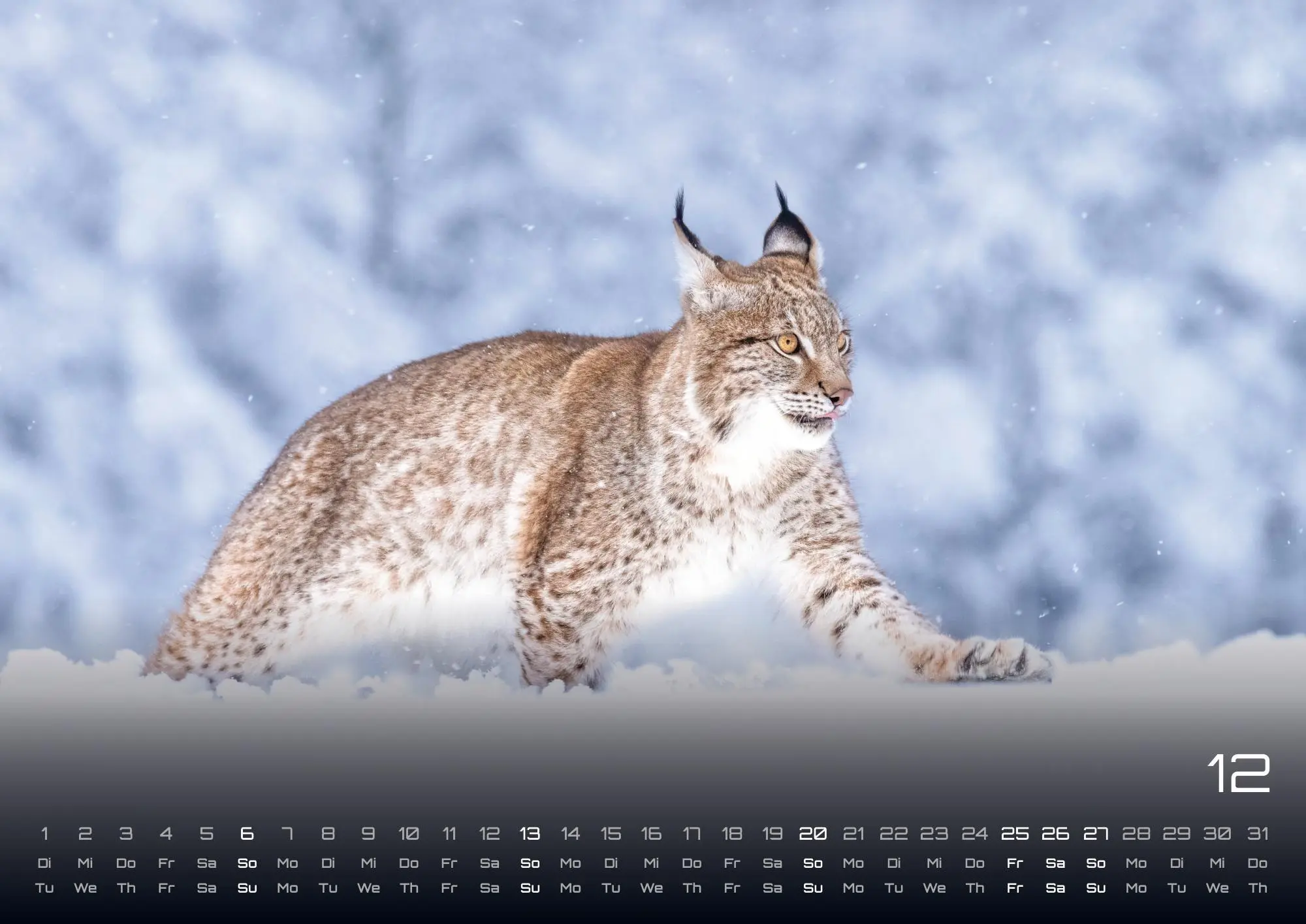 Bild: 9783986736033 | Waldtiere - Heimische Waldbewohner - Der Tierkalender - 2026 -...