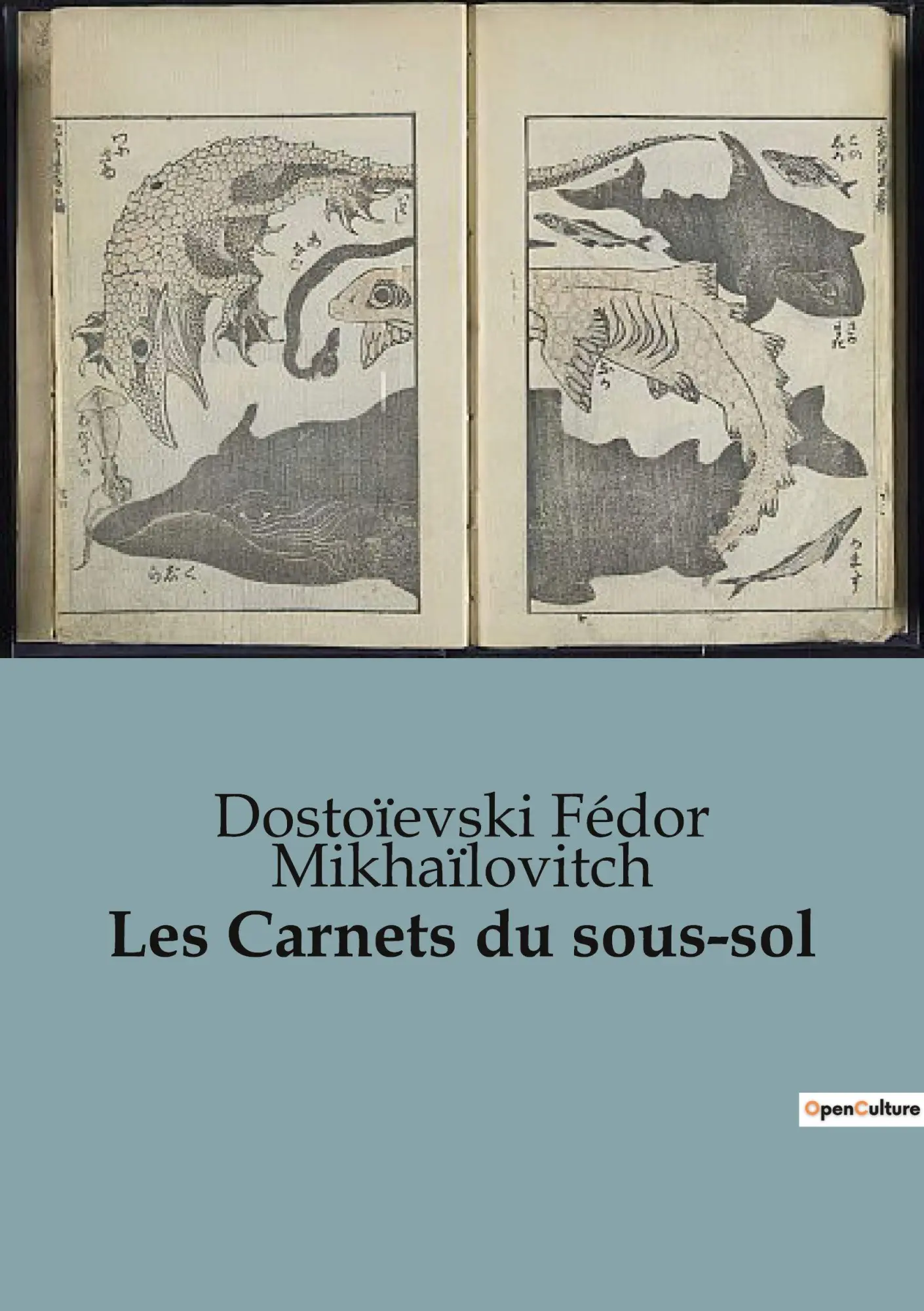 Cover: 9791041816033 | Les Carnets du sous-sol | Dostoïevski Fédor Mikhaïlovitch | Buch