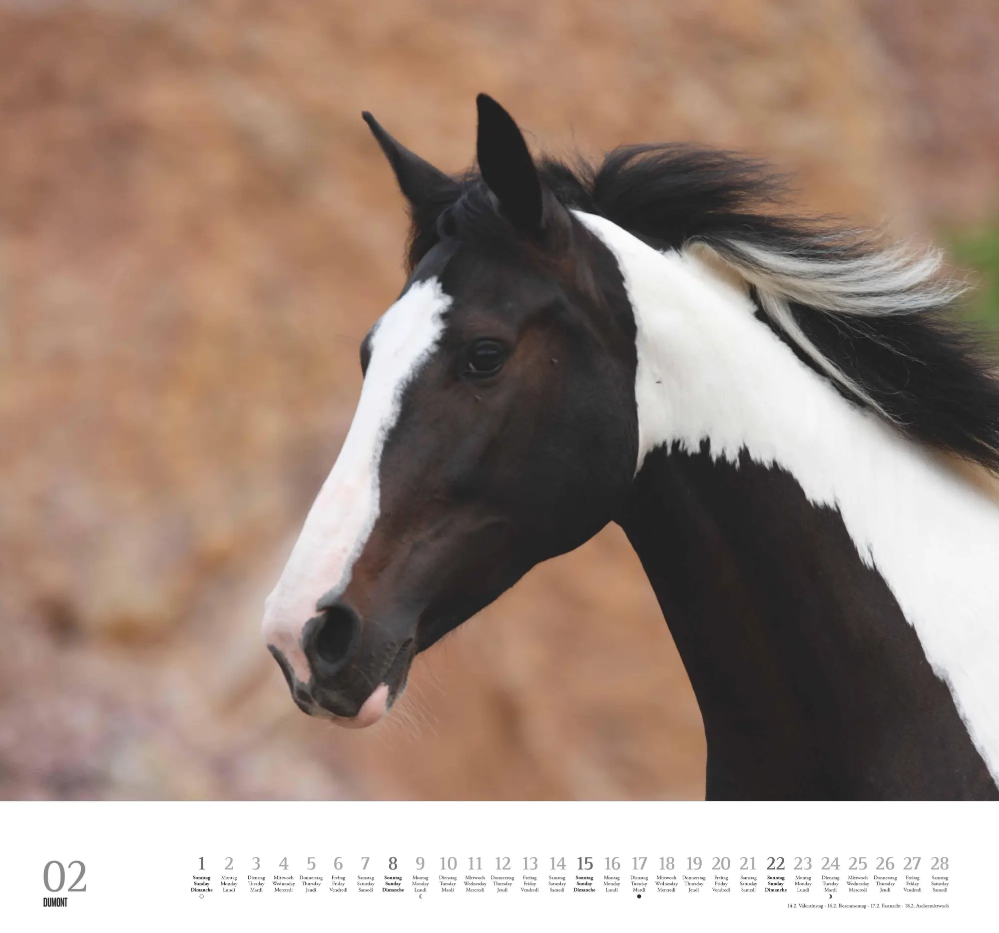 Bild: 4069095006133 | Geliebte Pferde 2026 - DUMONT-Wandkalender - Pferdefotografie von...