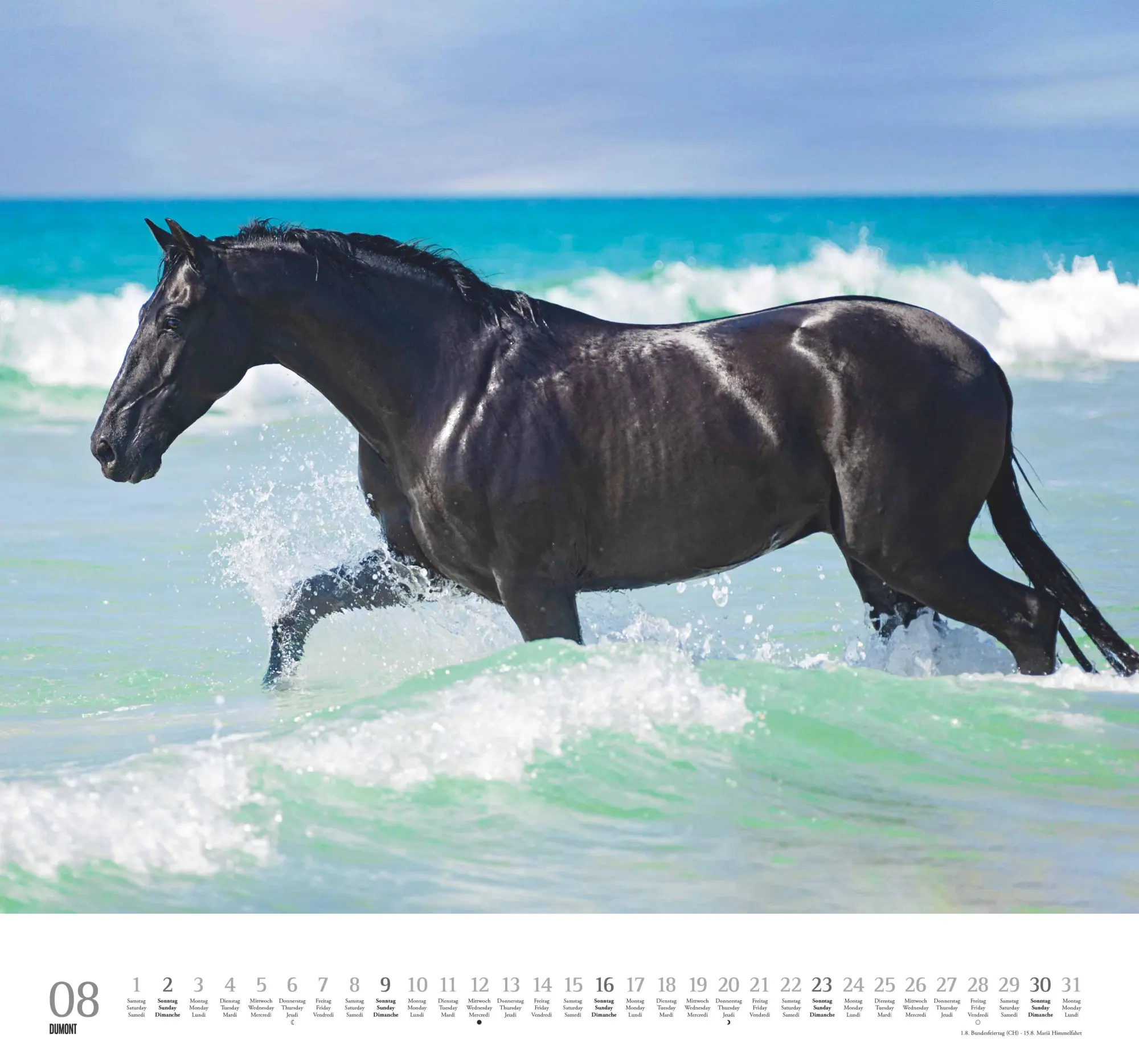 Bild: 4069095006133 | Geliebte Pferde 2026 - DUMONT-Wandkalender - Pferdefotografie von...
