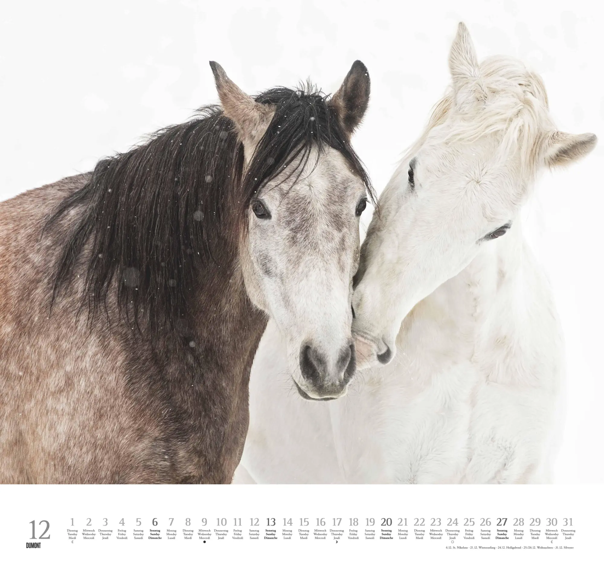 Bild: 4069095006133 | Geliebte Pferde 2026 - DUMONT-Wandkalender - Pferdefotografie von...