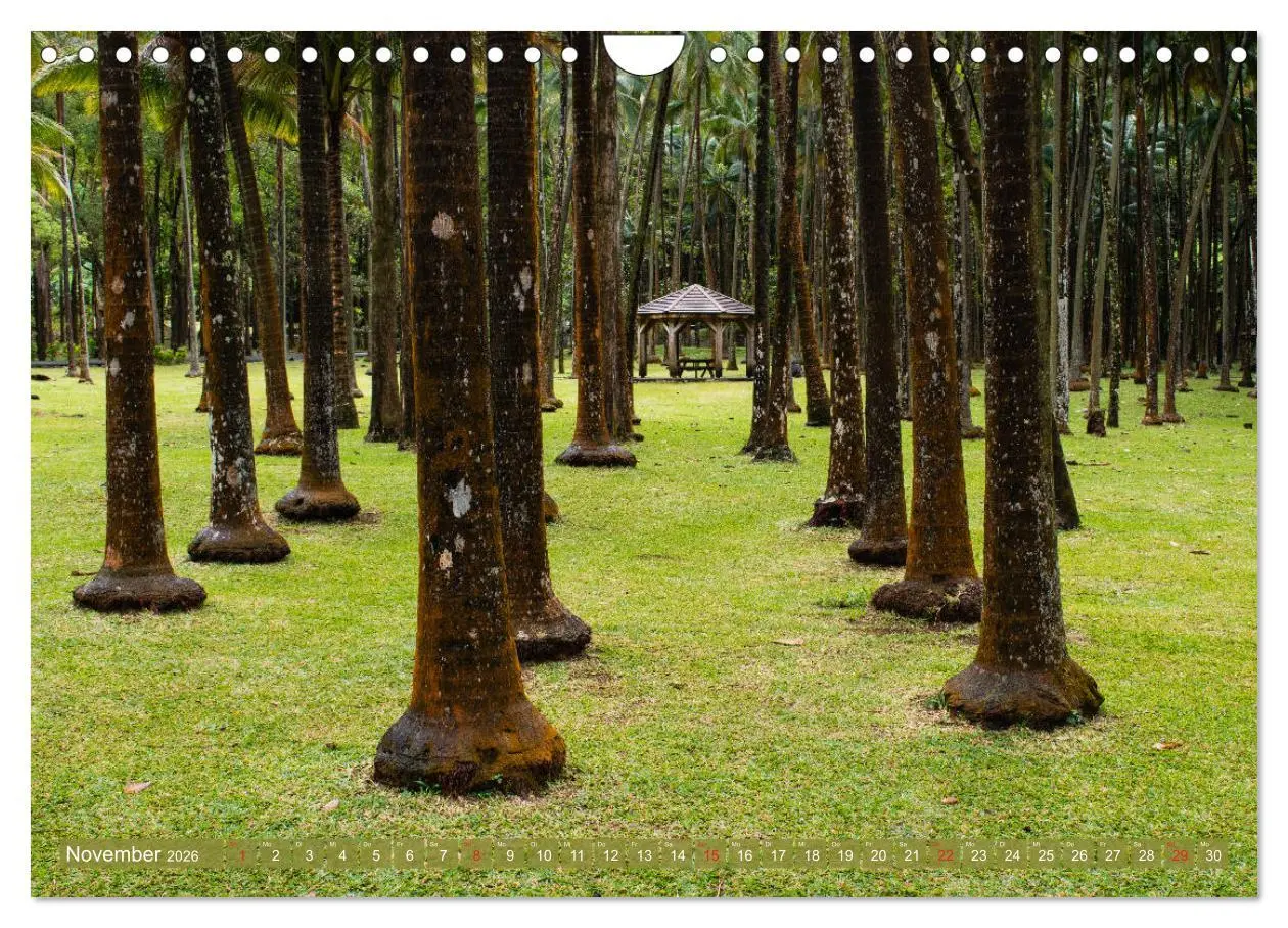 Bild: 9783457756133 | La Réunion - Impressionen von Rolf Dietz (Wandkalender 2026 DIN A4...