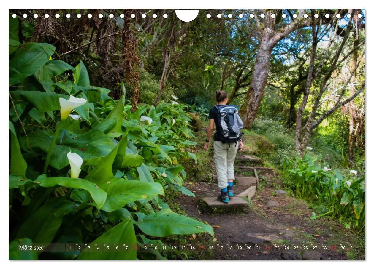 Bild: 9783457756133 | La Réunion - Impressionen von Rolf Dietz (Wandkalender 2026 DIN A4...