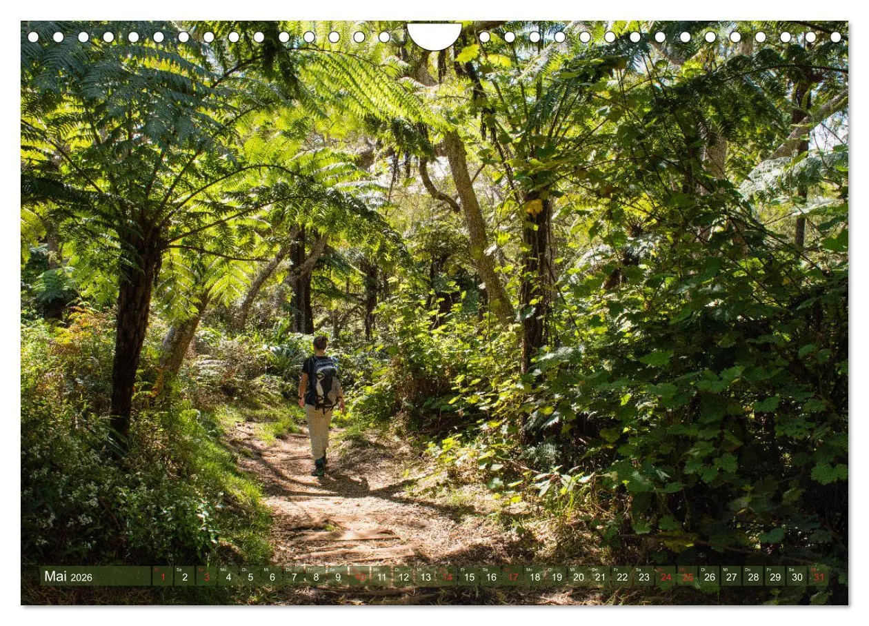 Bild: 9783457756133 | La Réunion - Impressionen von Rolf Dietz (Wandkalender 2026 DIN A4...
