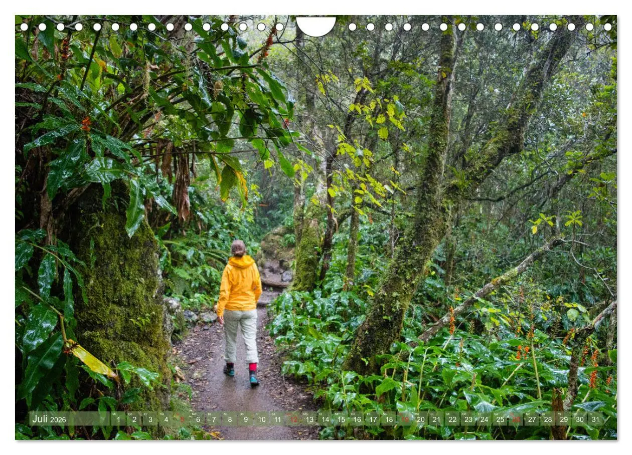 Bild: 9783457756133 | La Réunion - Impressionen von Rolf Dietz (Wandkalender 2026 DIN A4...