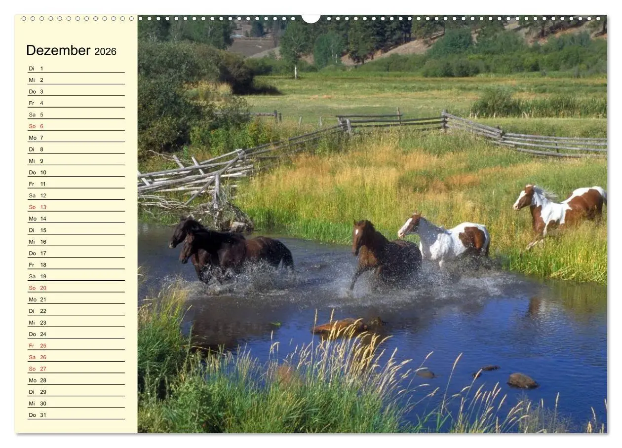 Bild: 9783457996133 | Wilde Pferde. Mustangs in USA (Wandkalender 2026 DIN A2 quer),...