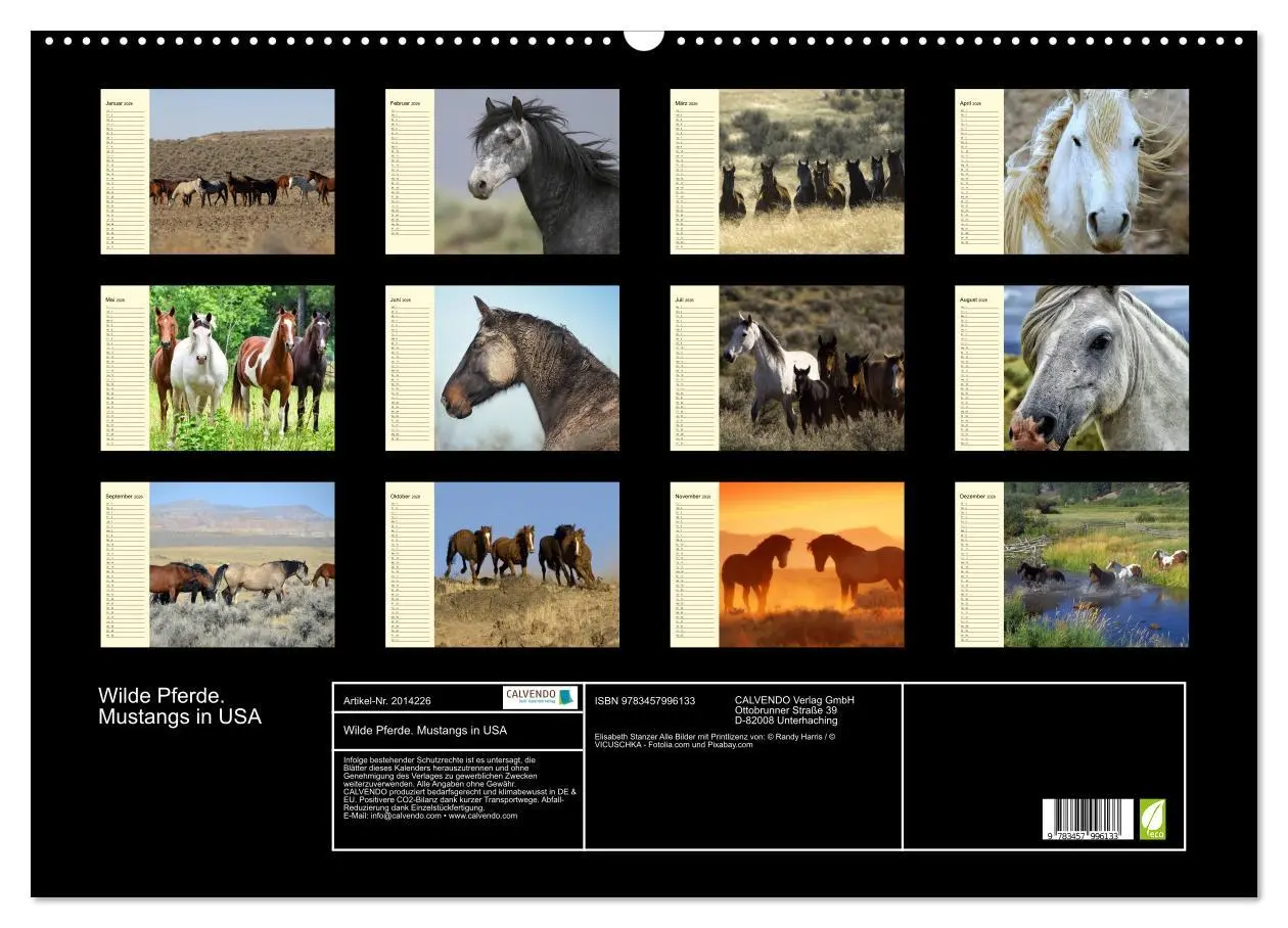 Bild: 9783457996133 | Wilde Pferde. Mustangs in USA (Wandkalender 2026 DIN A2 quer),...