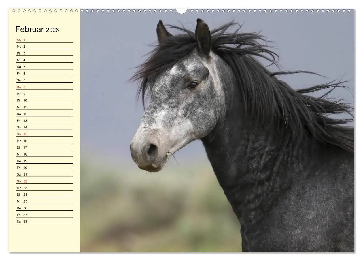 Bild: 9783457996133 | Wilde Pferde. Mustangs in USA (Wandkalender 2026 DIN A2 quer),...