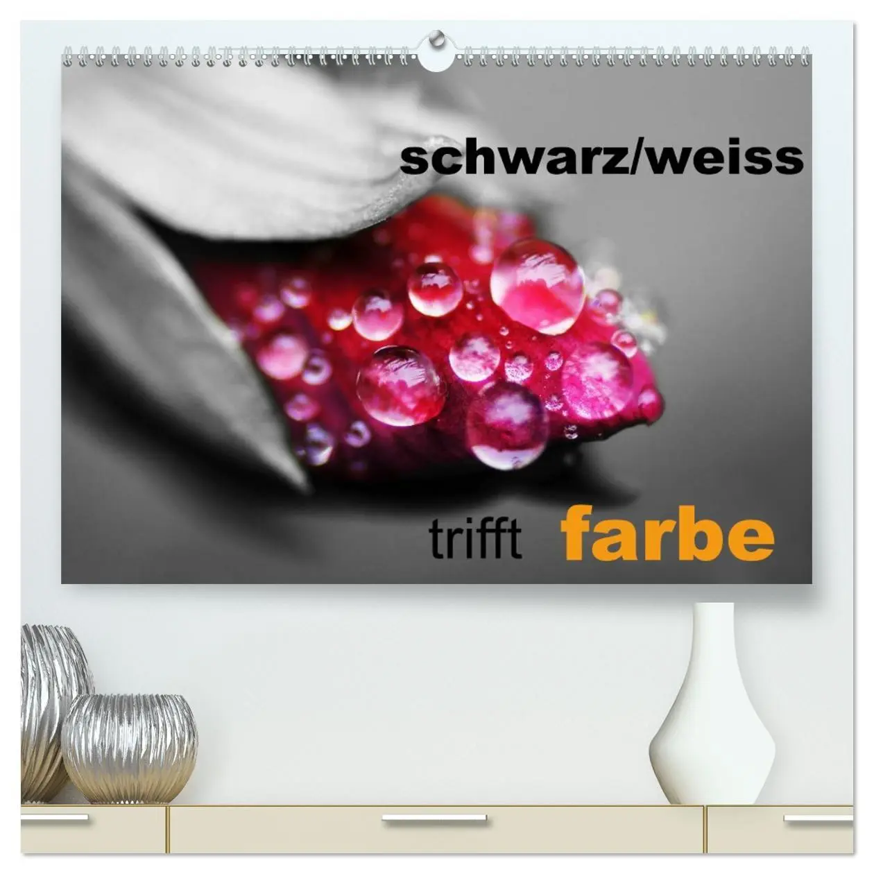 Cover: 9783516156133 | schwarz/weiß trifft farbe (hochwertiger Premium Wandkalender 2026...