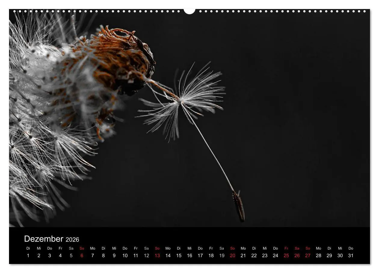 Bild: 9783516156133 | schwarz/weiß trifft farbe (hochwertiger Premium Wandkalender 2026...