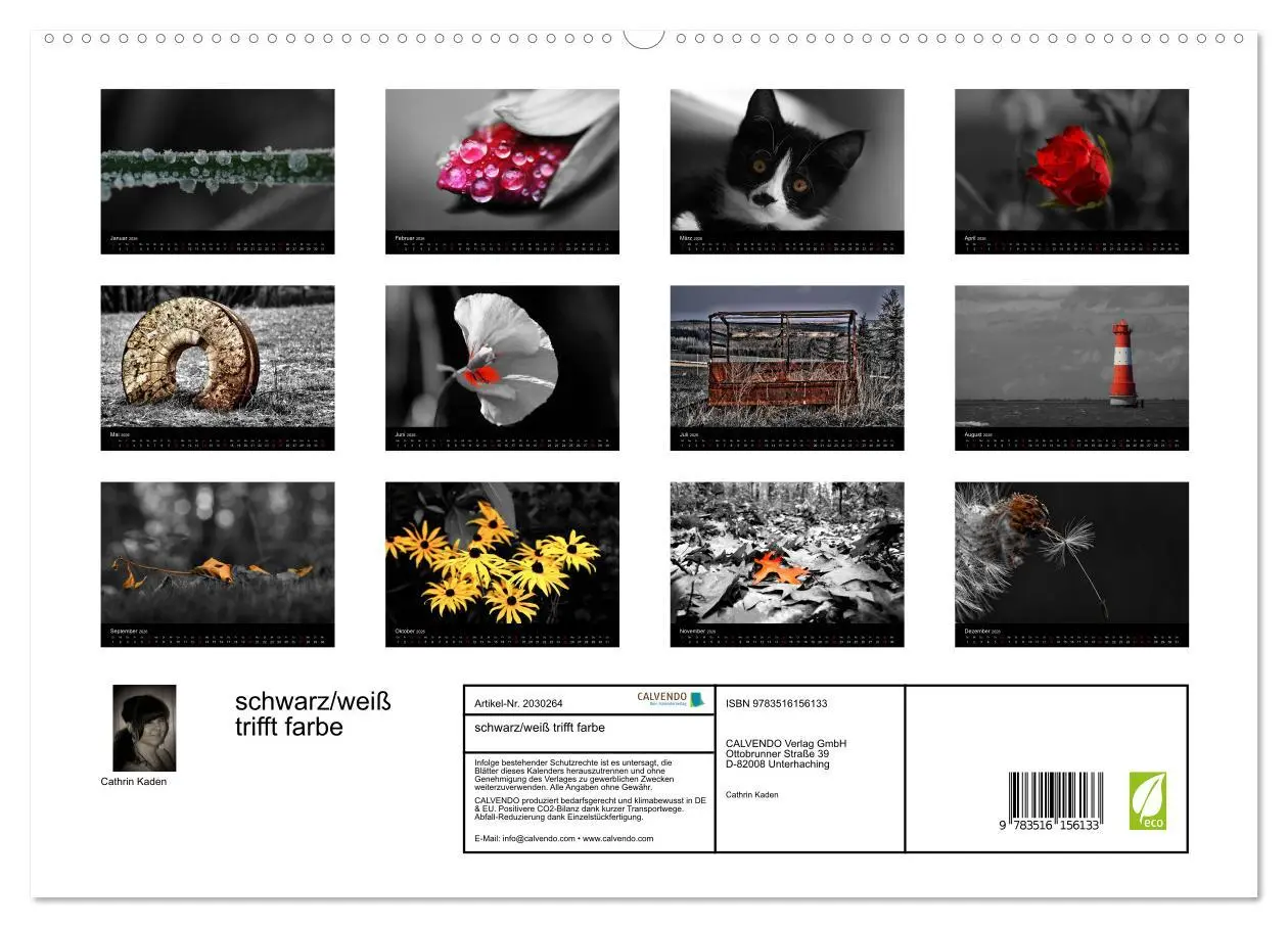 Bild: 9783516156133 | schwarz/weiß trifft farbe (hochwertiger Premium Wandkalender 2026...