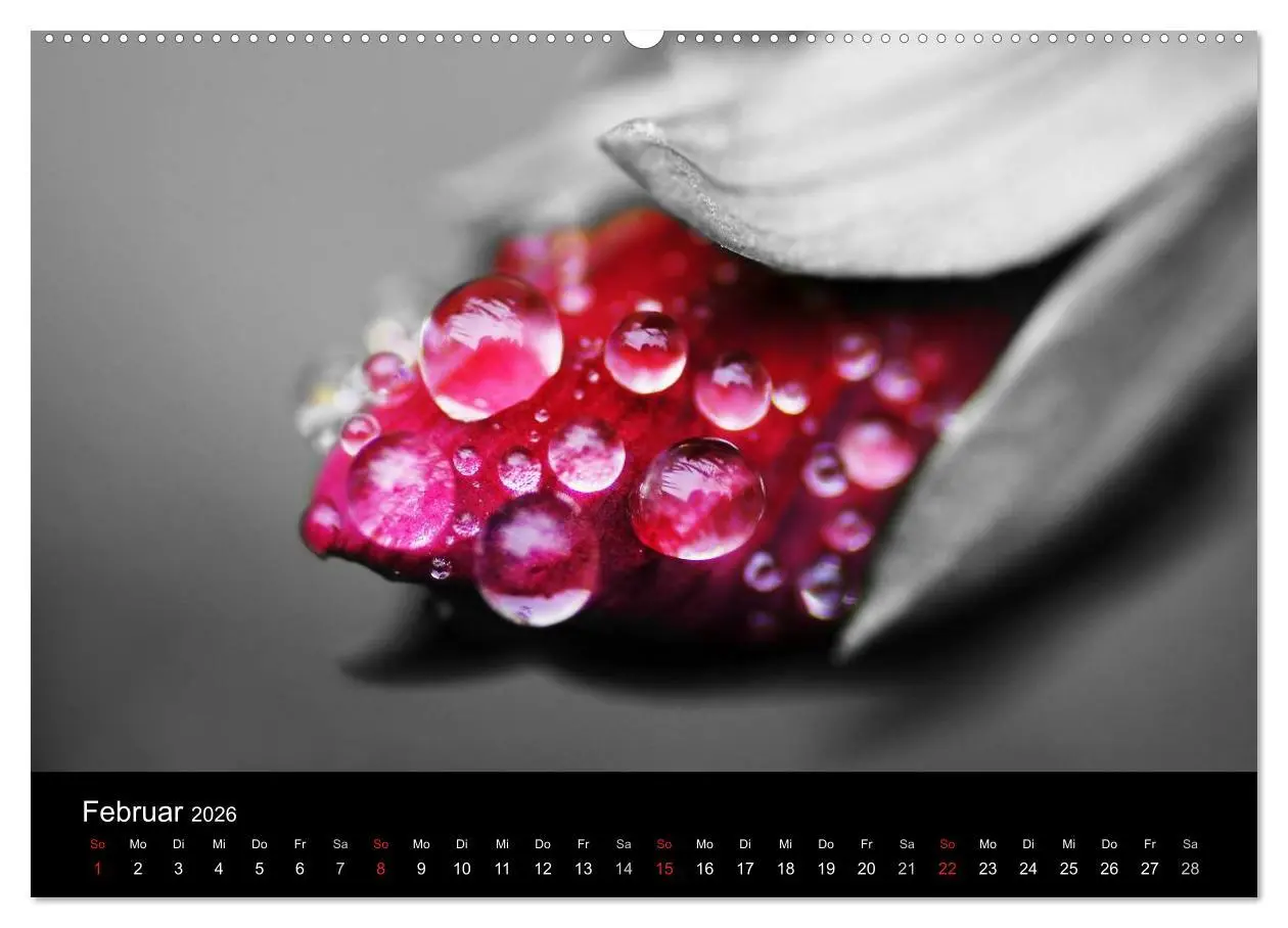 Bild: 9783516156133 | schwarz/weiß trifft farbe (hochwertiger Premium Wandkalender 2026...