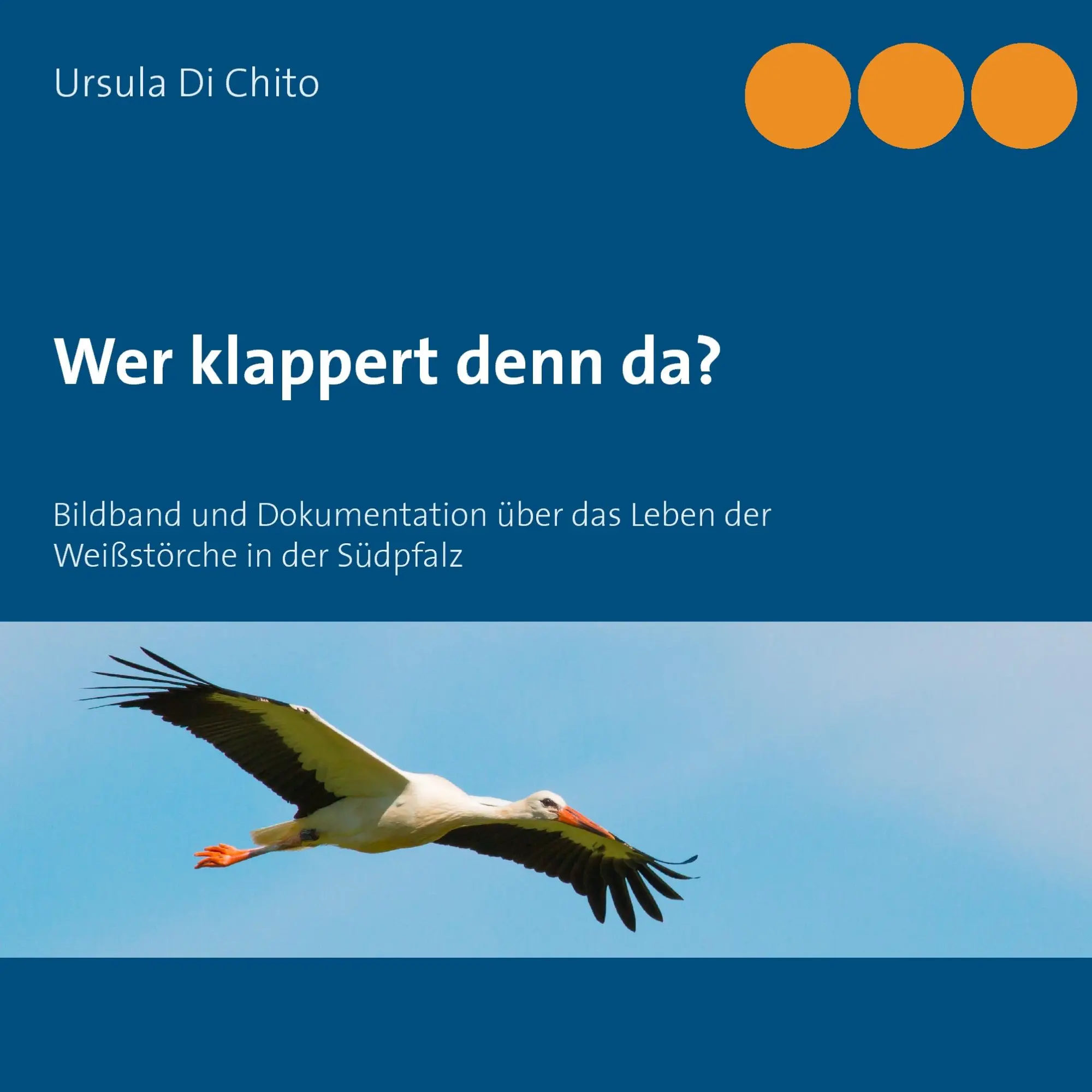 Cover: 9783738606133 | Wer klappert denn da? | Ursula Di Chito | Taschenbuch | 52 S. | 2014