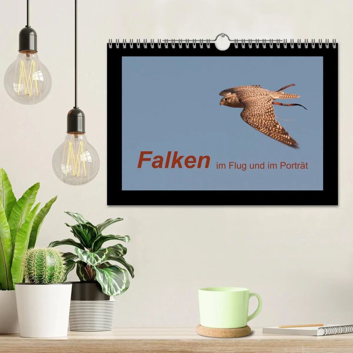 Bild: 9783516216233 | Falken im Flug und im Porträt (Wandkalender 2026 DIN A4 quer),...