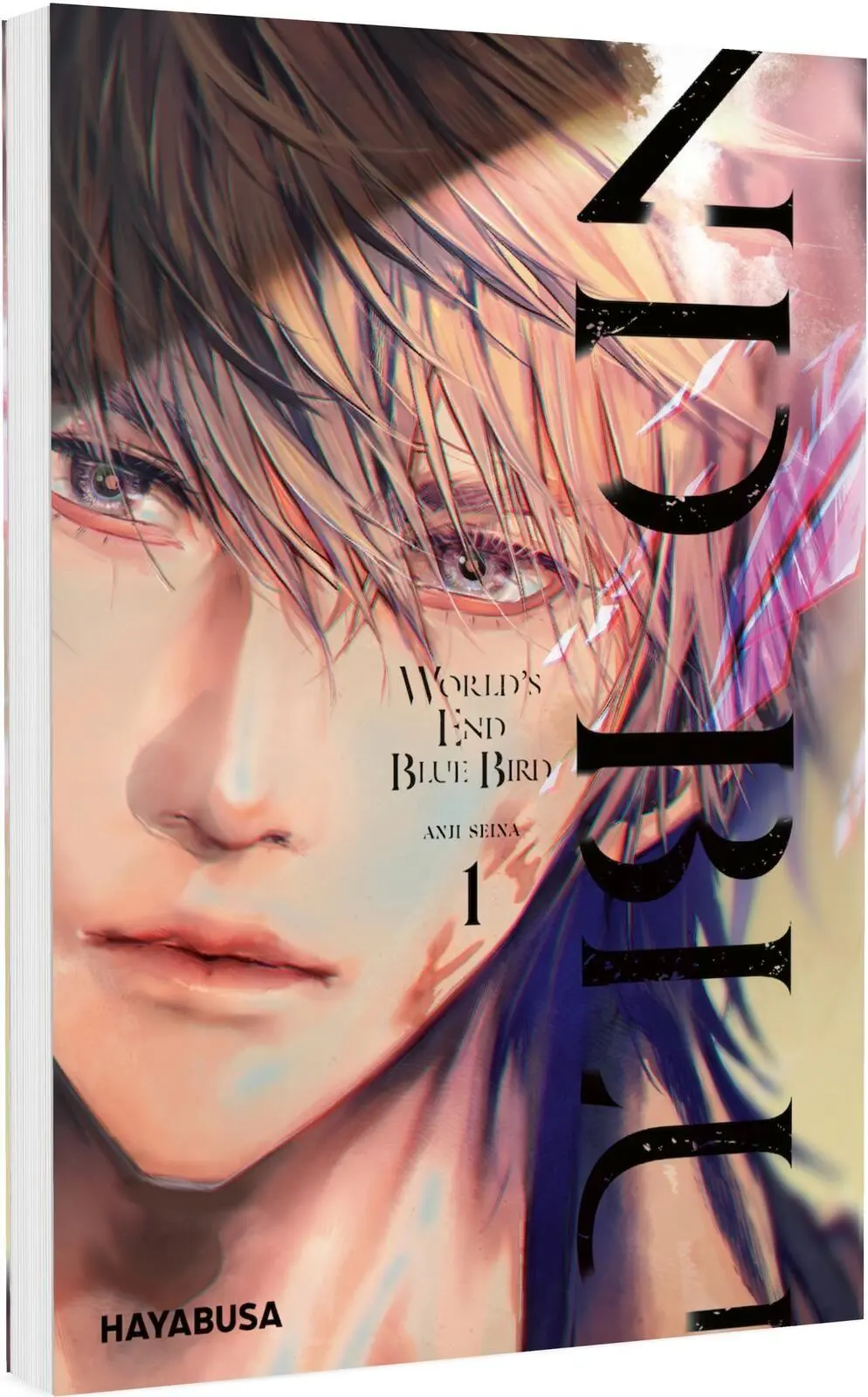 Cover: 9783551626233 | World's End Blue Bird 1 | Anji Seina | Taschenbuch | 226 S. | Deutsch