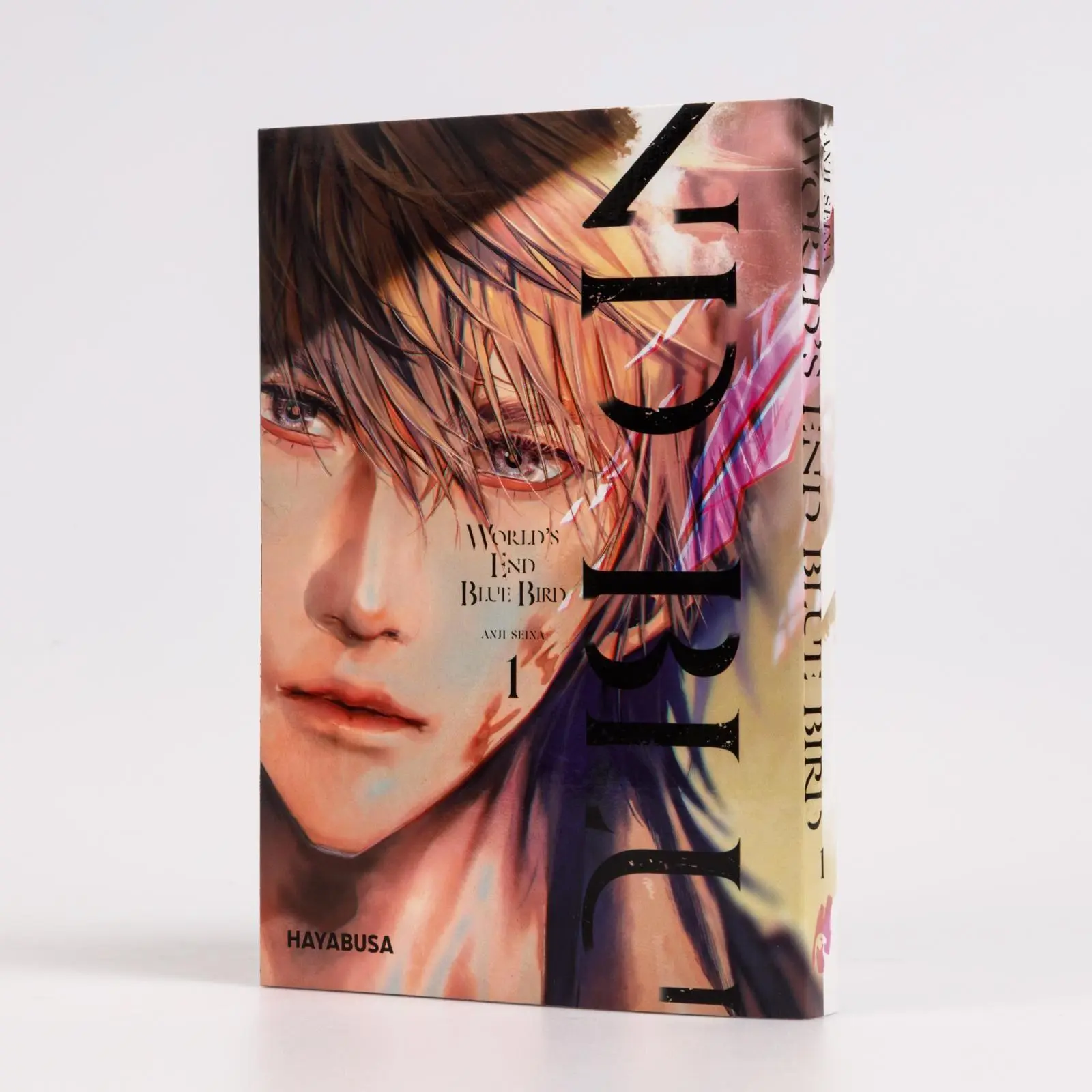 Bild: 9783551626233 | World's End Blue Bird 1 | Anji Seina | Taschenbuch | 226 S. | Deutsch