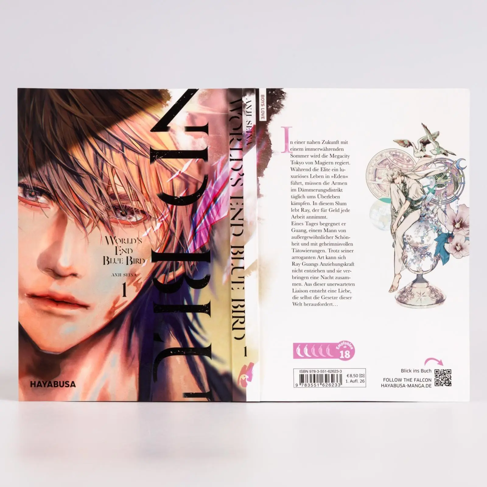 Bild: 9783551626233 | World's End Blue Bird 1 | Anji Seina | Taschenbuch | 226 S. | Deutsch