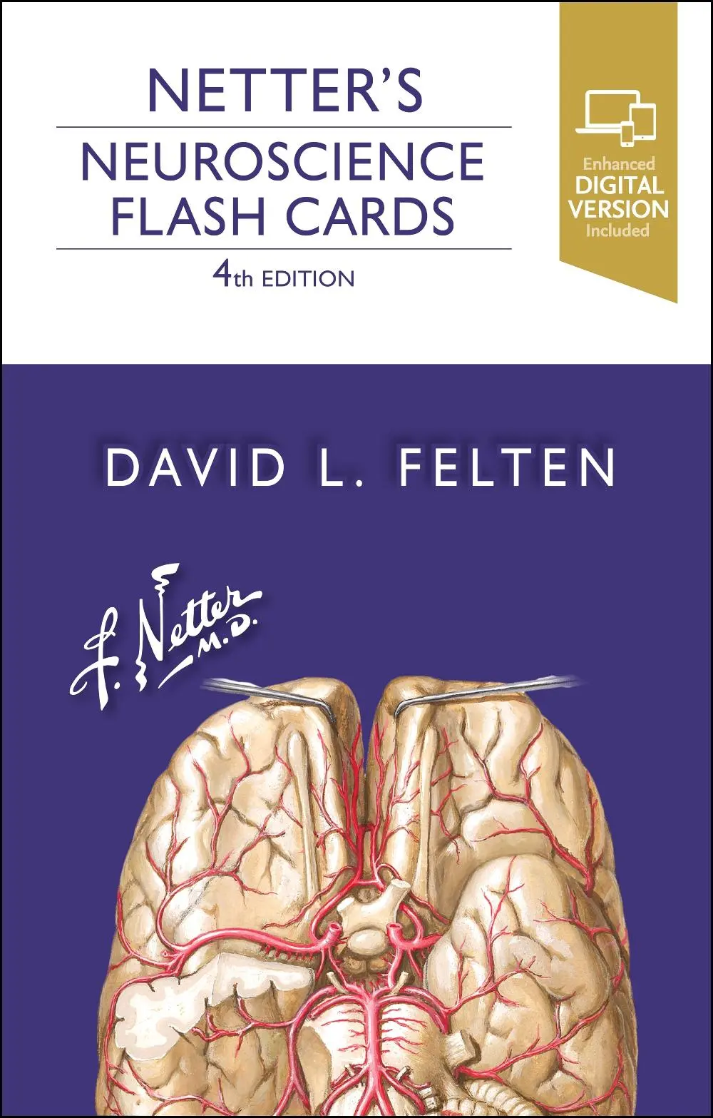 Cover: 9780323756433 | Netter's Neuroscience Flash Cards | David L Felten | Box | Gebunden