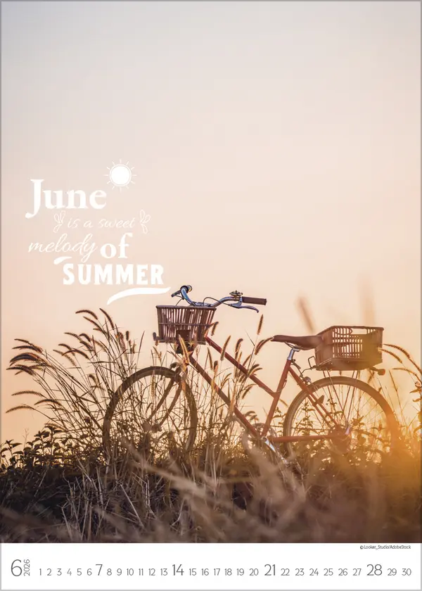 Bild: 9783731886433 | Seasons 2026 | Korsch Verlag | Kalender | Spiralbindung | 14 S. | 2026