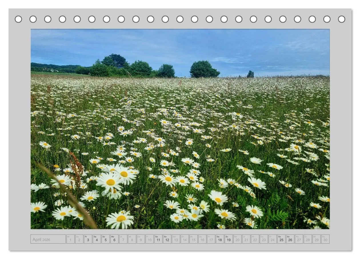Bild: 9783457266533 | Mön...die Schönheit einer dänischen Insel (Tischkalender 2026 DIN...
