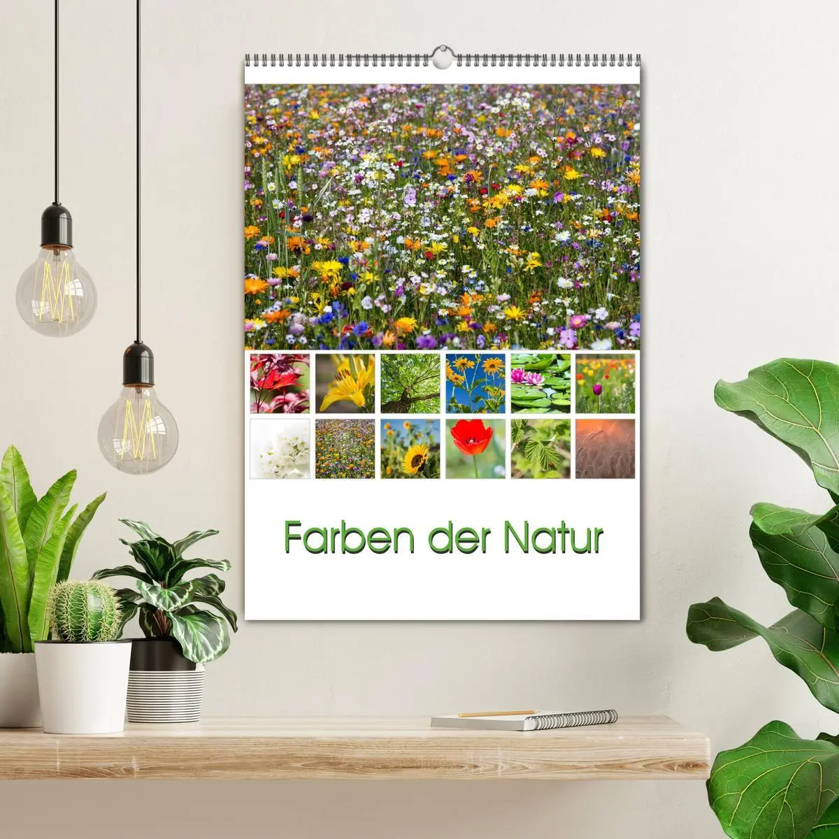 Bild: 9783516426533 | Farben der Natur (Wandkalender 2026 DIN A2 hoch), CALVENDO...