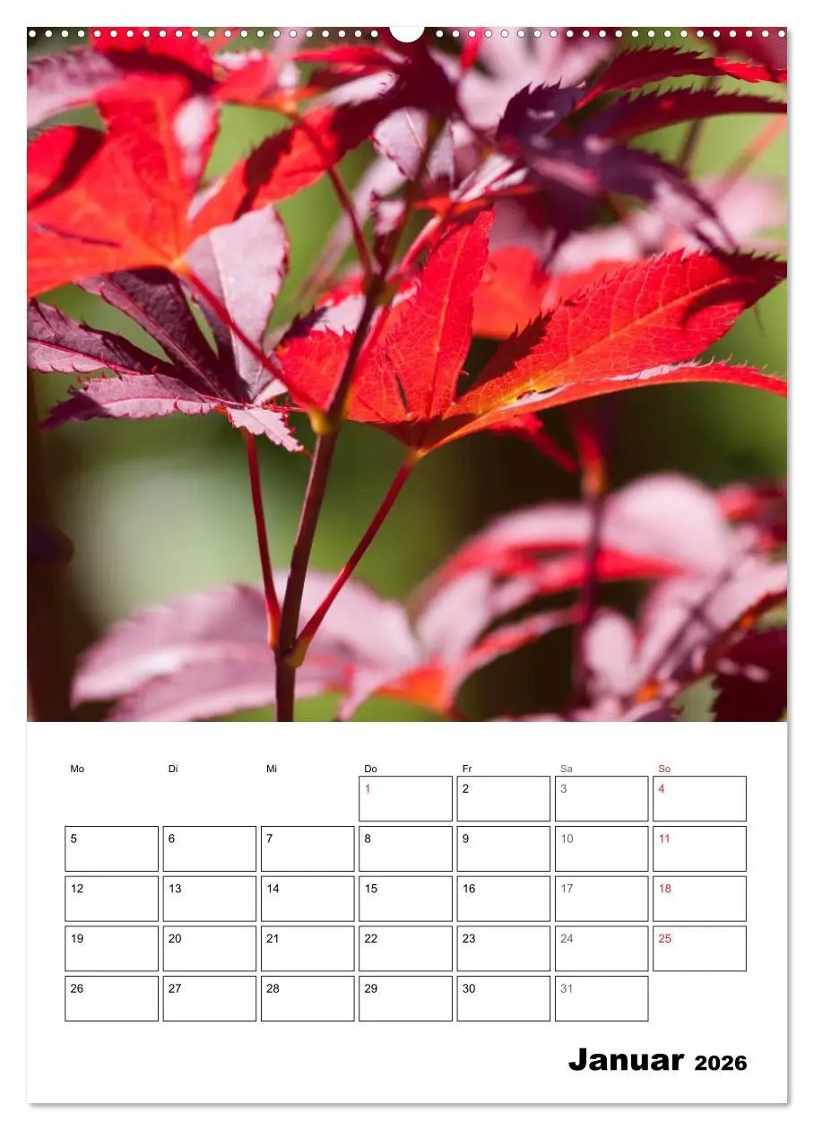 Bild: 9783516426533 | Farben der Natur (Wandkalender 2026 DIN A2 hoch), CALVENDO...