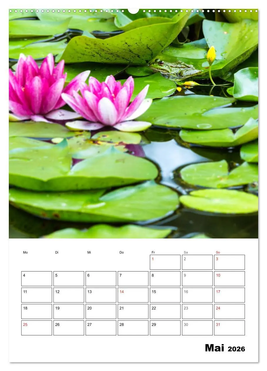 Bild: 9783516426533 | Farben der Natur (Wandkalender 2026 DIN A2 hoch), CALVENDO...