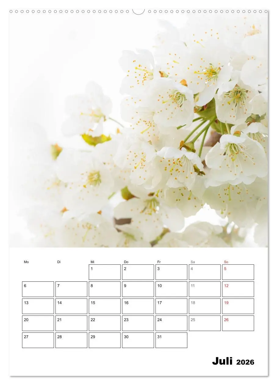 Bild: 9783516426533 | Farben der Natur (Wandkalender 2026 DIN A2 hoch), CALVENDO...