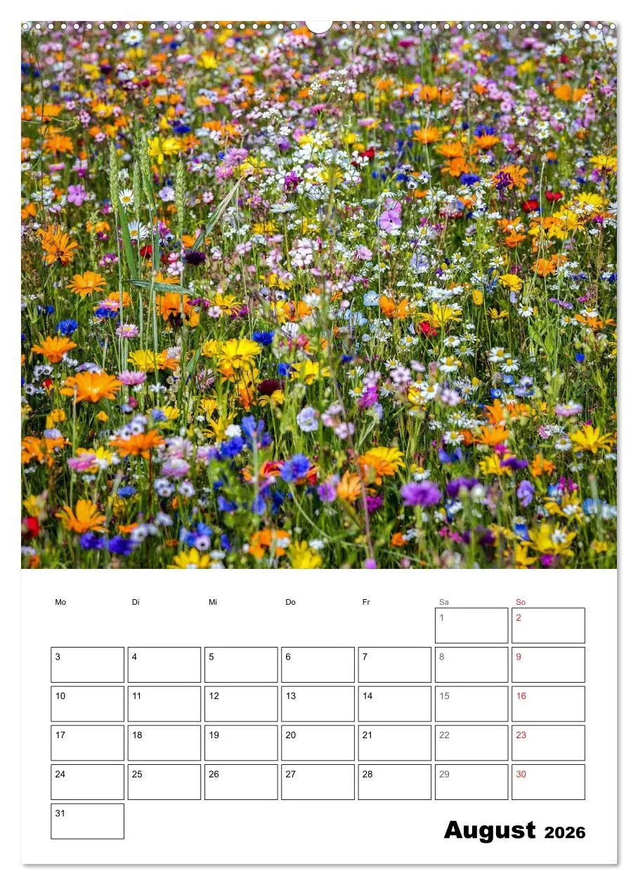 Bild: 9783516426533 | Farben der Natur (Wandkalender 2026 DIN A2 hoch), CALVENDO...