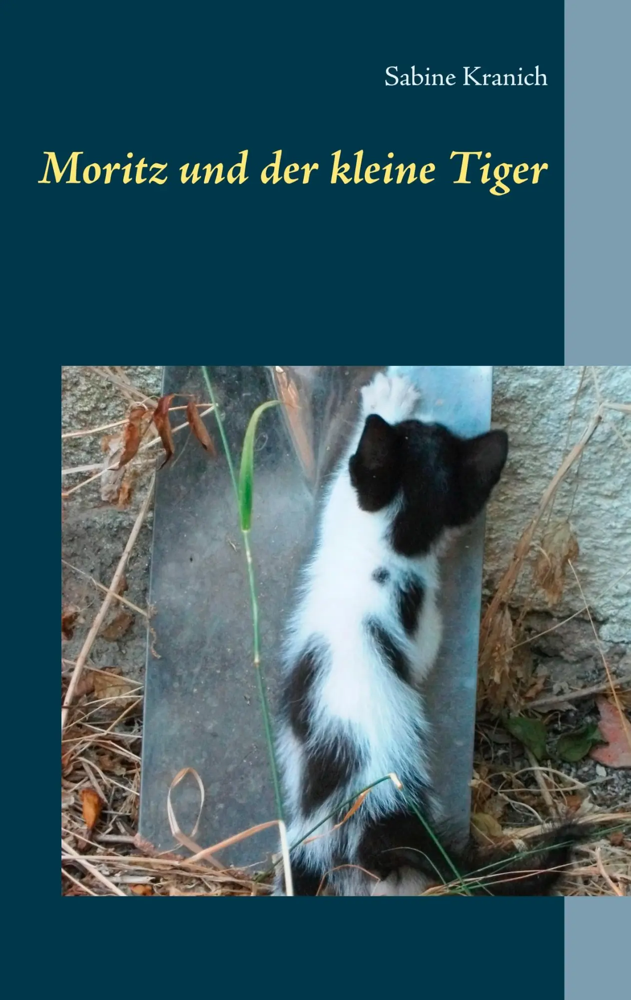 Cover: 9783746036533 | Moritz und der kleine Tiger | Sabine Kranich | Taschenbuch | 44 S.