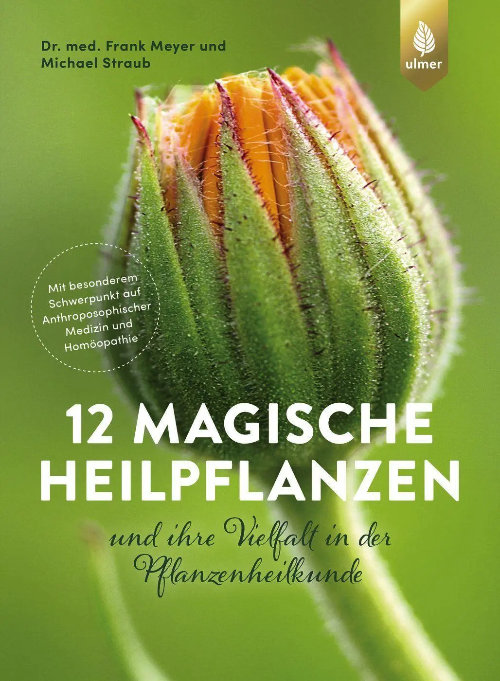 Cover: 9783818616533 | 12 magische Heilpflanzen | Frank Meyer (u. a.) | Buch | 208 S. | 2022