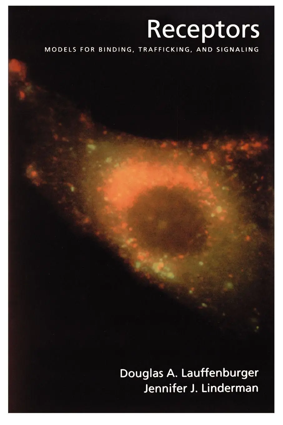 Cover: 9780195106633 | Receptors | Models for Binding, Trafficking, and Signaling | Buch