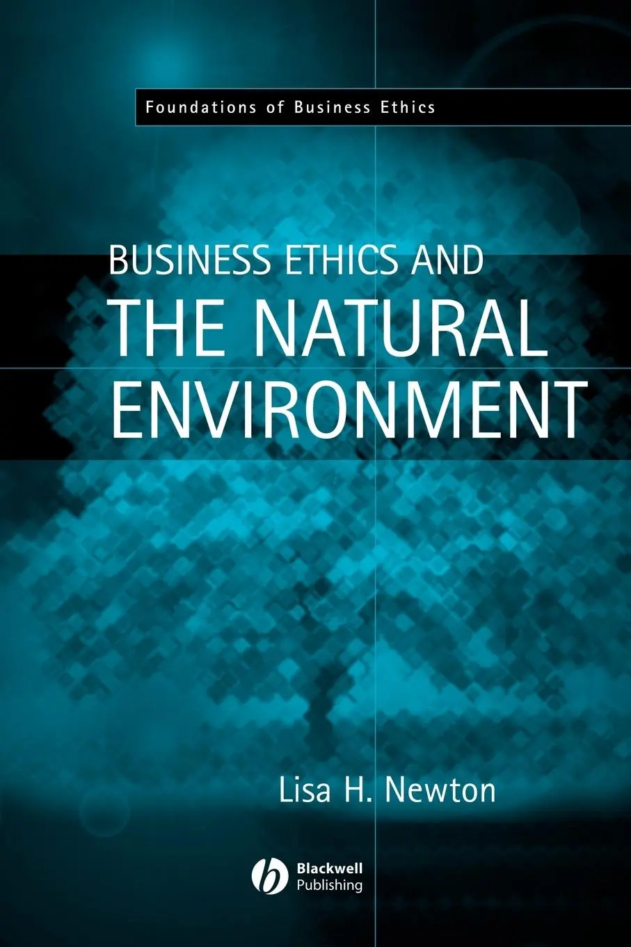Cover: 9781405116633 | Business Ethics and the Natural Environment | Lisa H Newton | Buch