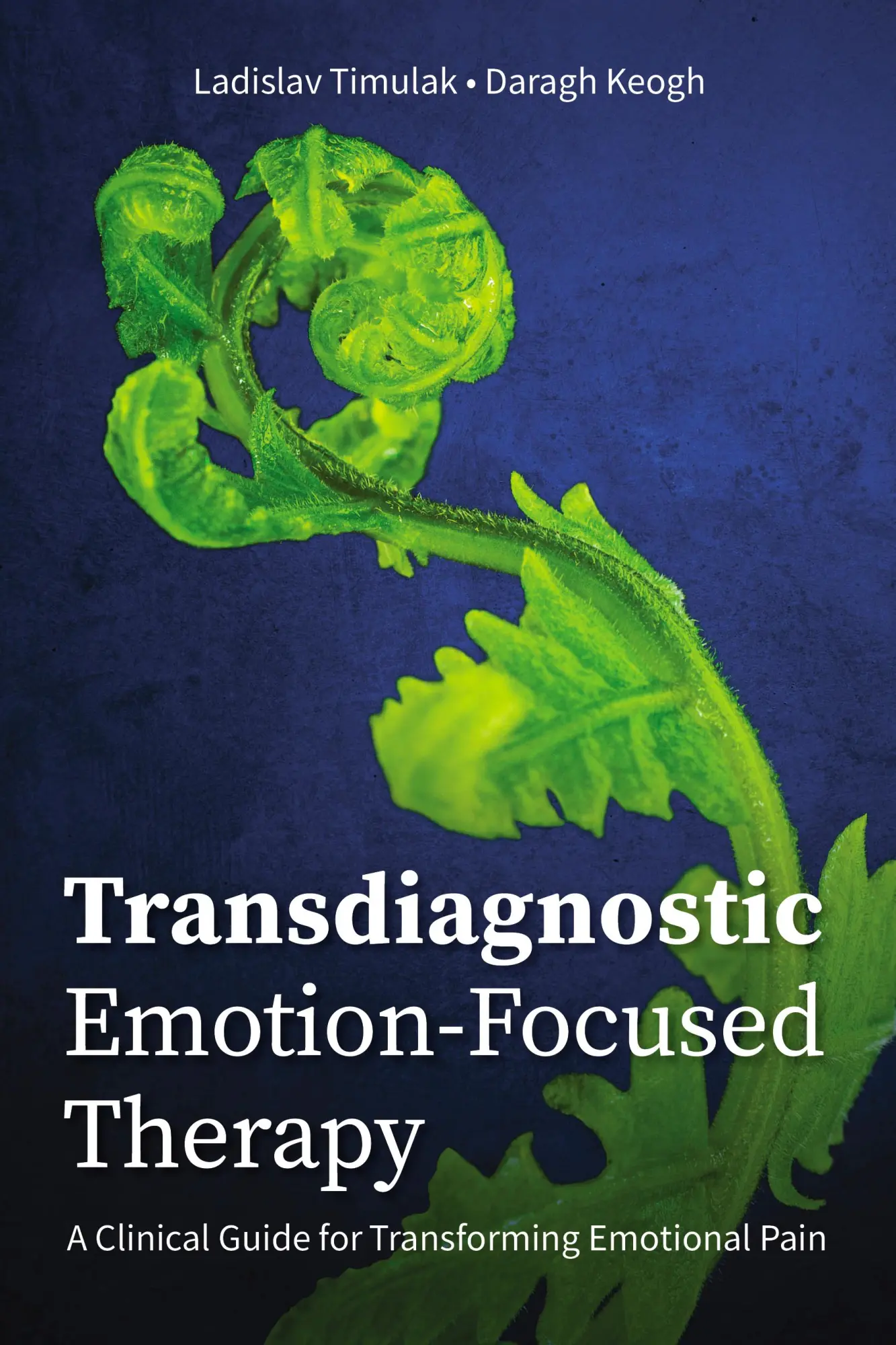 Cover: 9781433836633 | Transdiagnostic Emotion-Focused Therapy | Ladislav Timulak (u. a.)