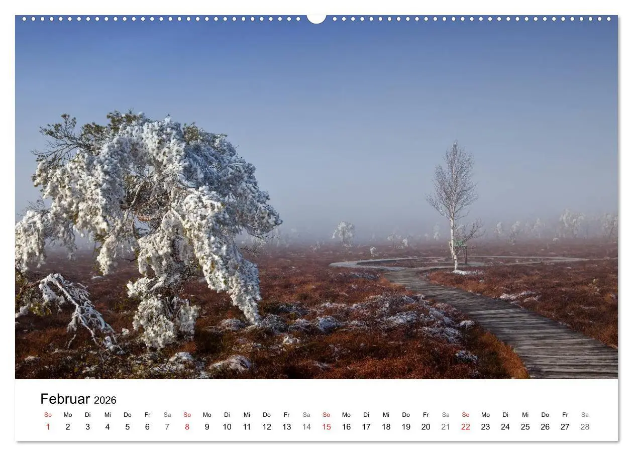 Bild: 9783457946633 | Auf neuen Wegen (hochwertiger Premium Wandkalender 2026 DIN A2...