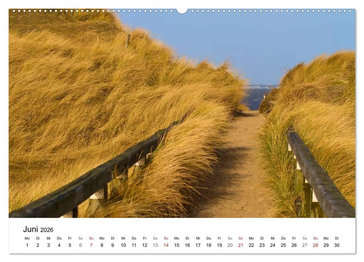 Bild: 9783457946633 | Auf neuen Wegen (hochwertiger Premium Wandkalender 2026 DIN A2...