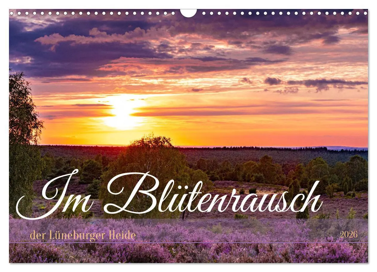 Cover: 9783457486733 | Im Blütenrausch der Lüneburger Heide (Wandkalender 2026 DIN A3...