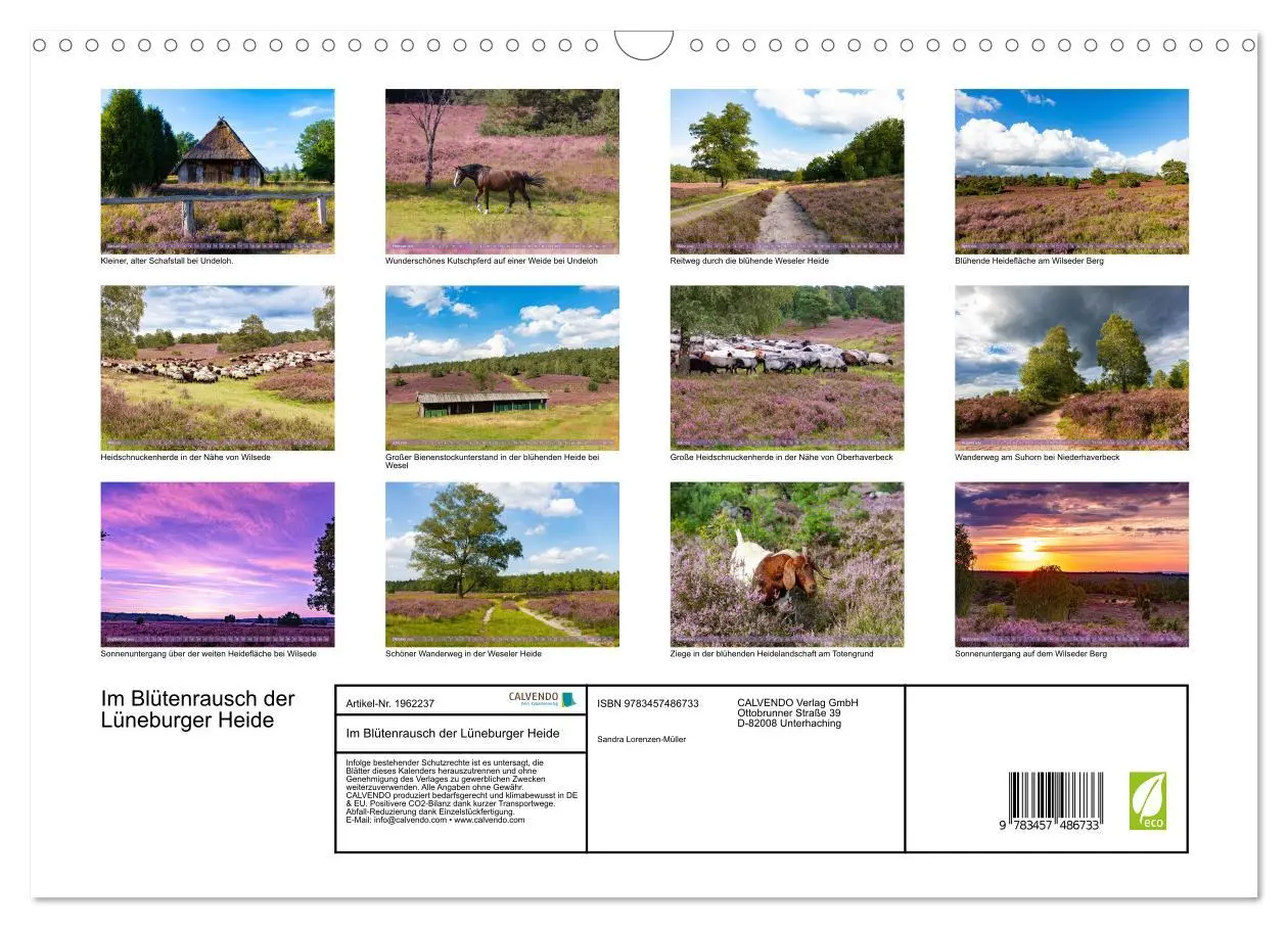 Bild: 9783457486733 | Im Blütenrausch der Lüneburger Heide (Wandkalender 2026 DIN A3...