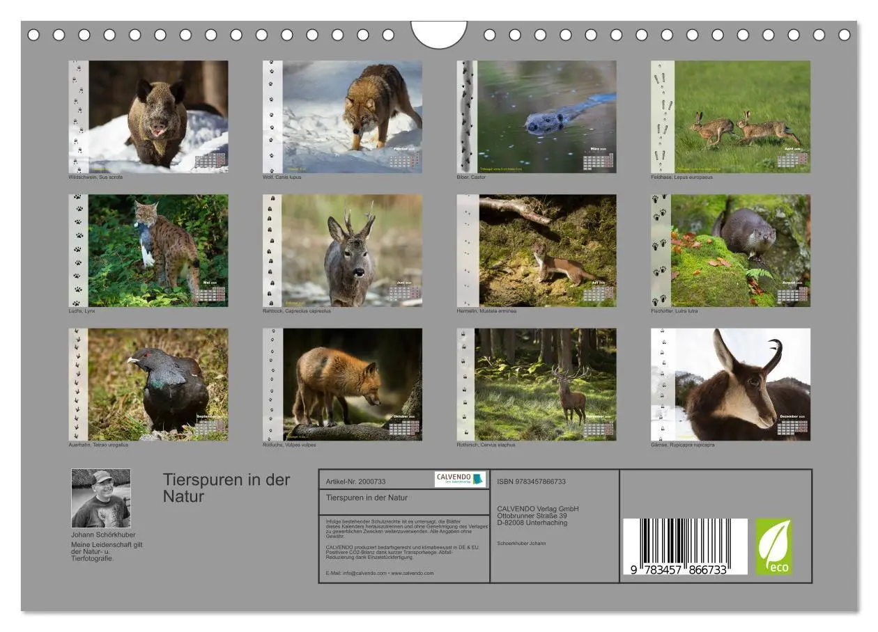 Bild: 9783457866733 | Tierspuren in der Natur (Wandkalender 2026 DIN A4 quer), CALVENDO...