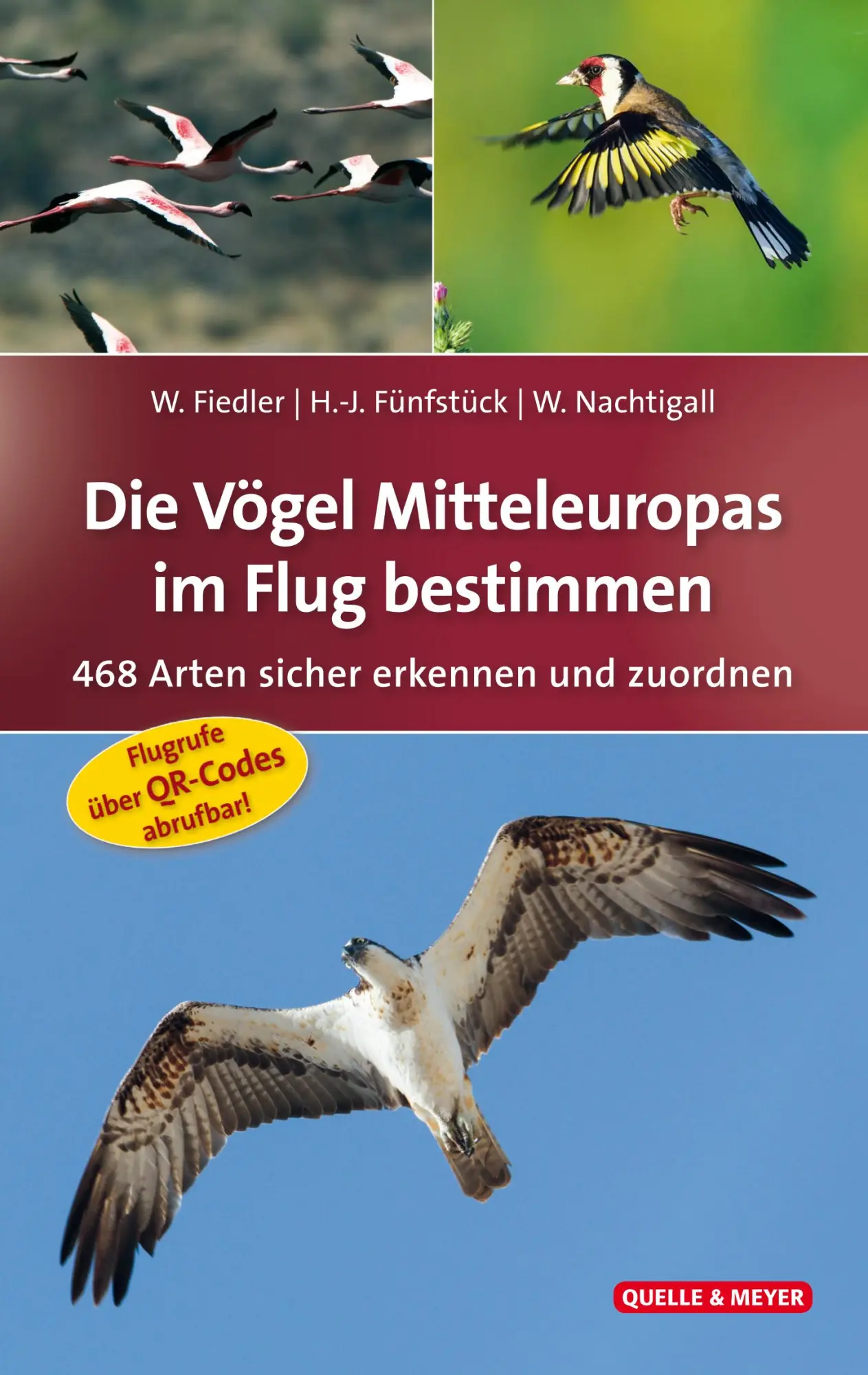 Cover: 9783494016733 | Die Vögel Mitteleuropas im Flug bestimmen | Wolfgang Fiedler (u. a.)