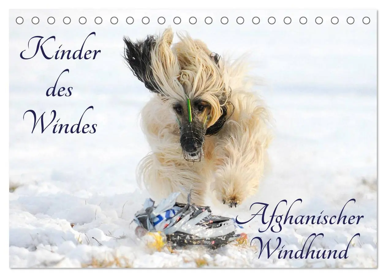 Cover: 9783516026733 | Kinder des Windes - Afghanischer Windhund (Tischkalender 2026 DIN...