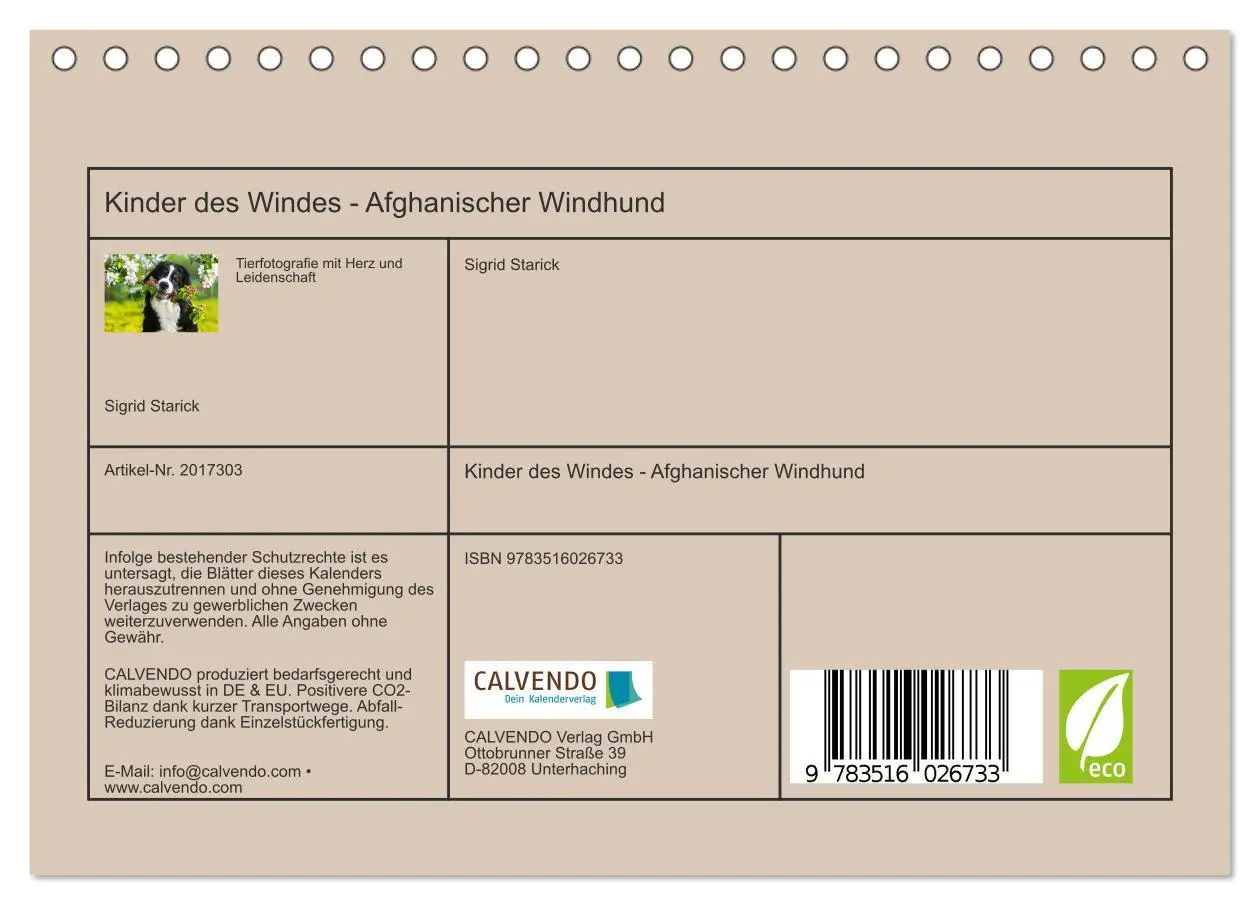 Bild: 9783516026733 | Kinder des Windes - Afghanischer Windhund (Tischkalender 2026 DIN...