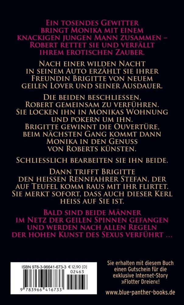 Bild: 9783966416733 | Im Netz der Wollust - Geile Herrinnen | Erotischer Roman | Eric Norton