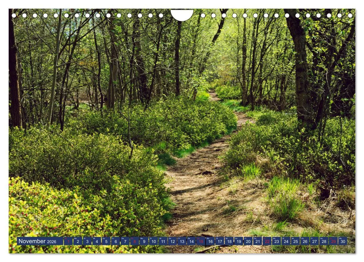 Bild: 9783457926833 | Schönes Ammerland (Wandkalender 2026 DIN A4 quer), CALVENDO...