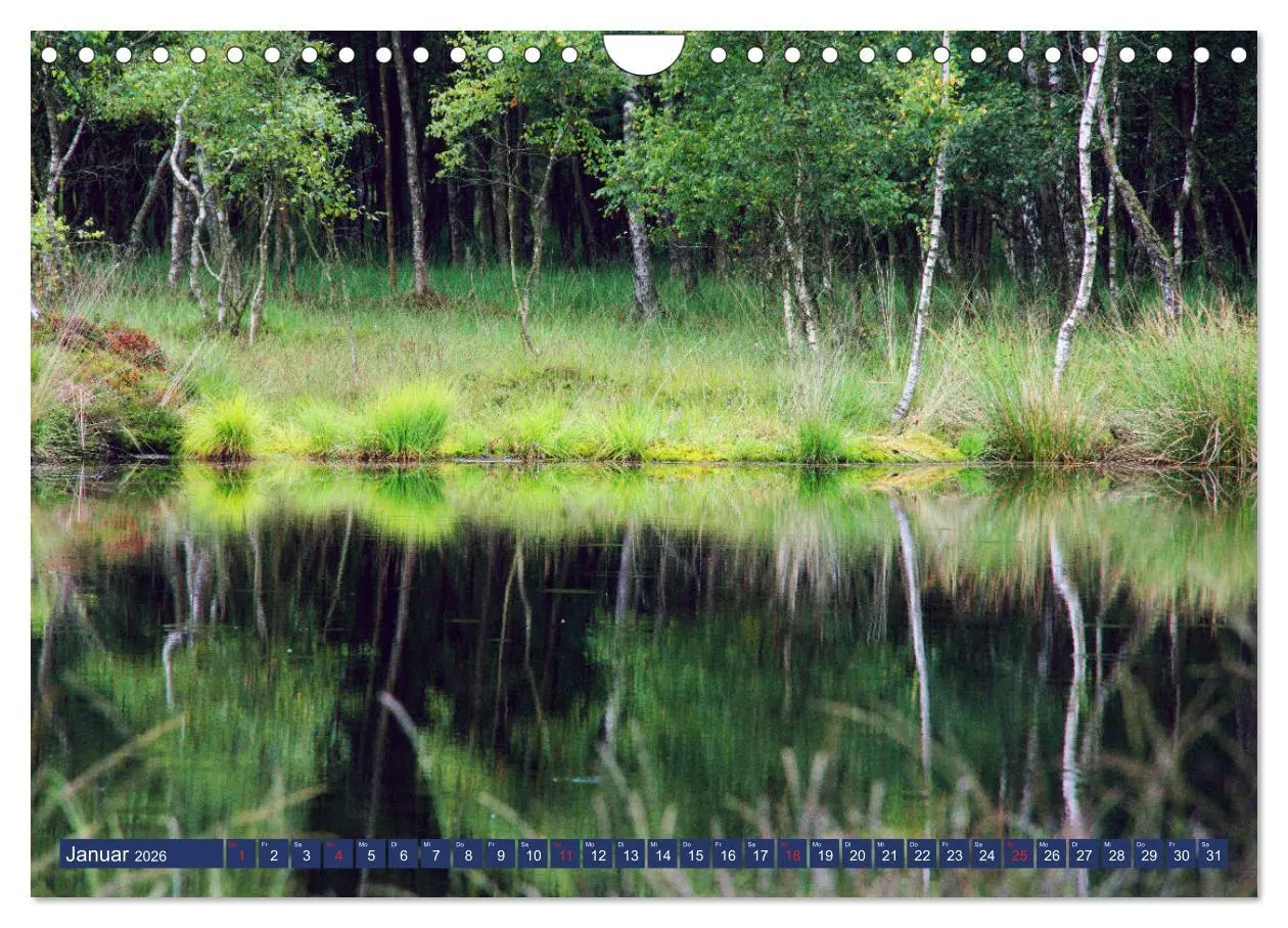 Bild: 9783457926833 | Schönes Ammerland (Wandkalender 2026 DIN A4 quer), CALVENDO...