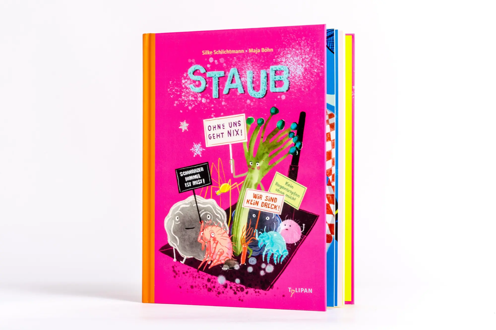Bild: 9783864296833 | Staub | Silke Schlichtmann | Buch | 48 S. | Deutsch | 2025 | TULIPAN