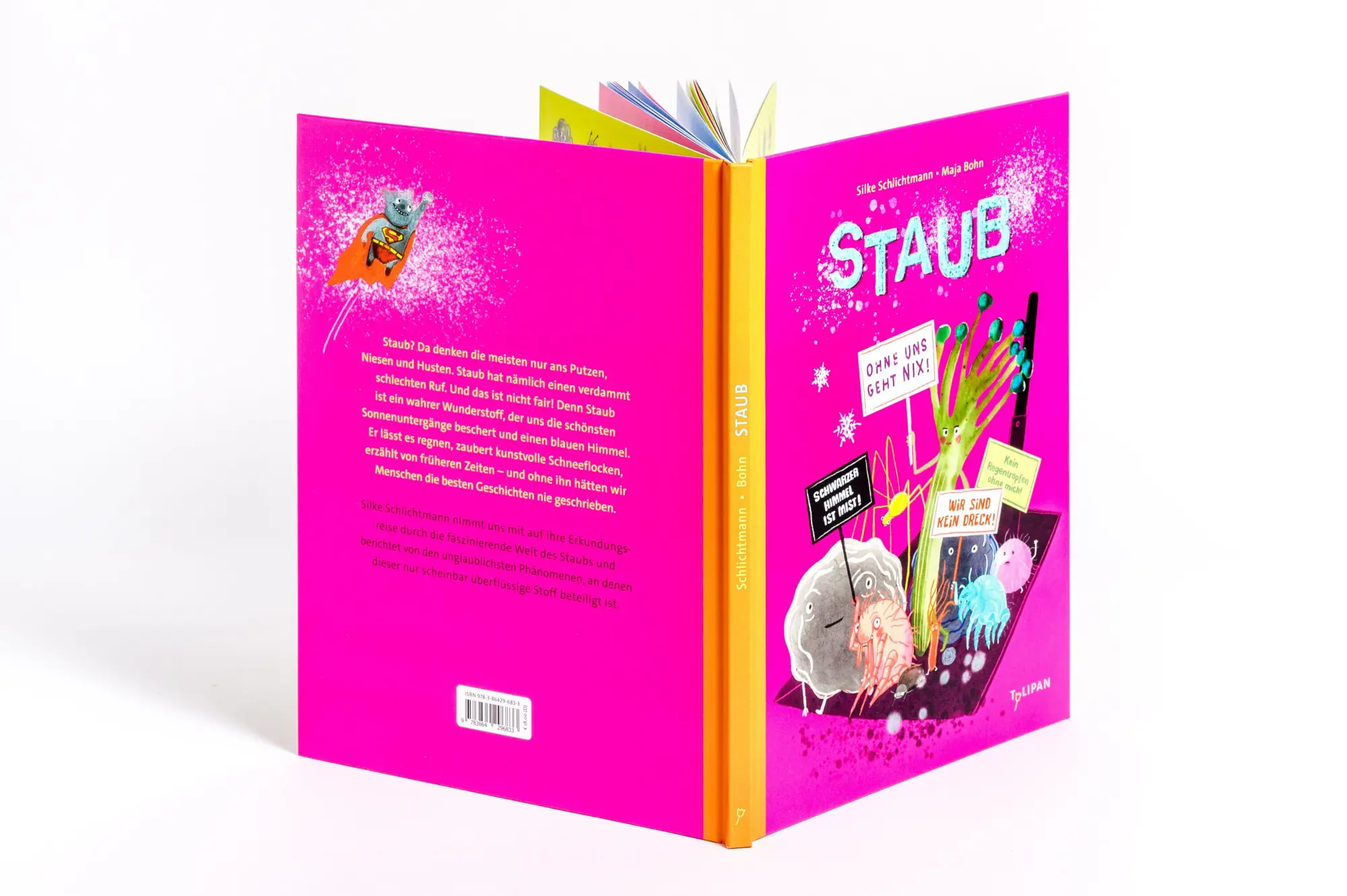 Bild: 9783864296833 | Staub | Silke Schlichtmann | Buch | 48 S. | Deutsch | 2025 | TULIPAN