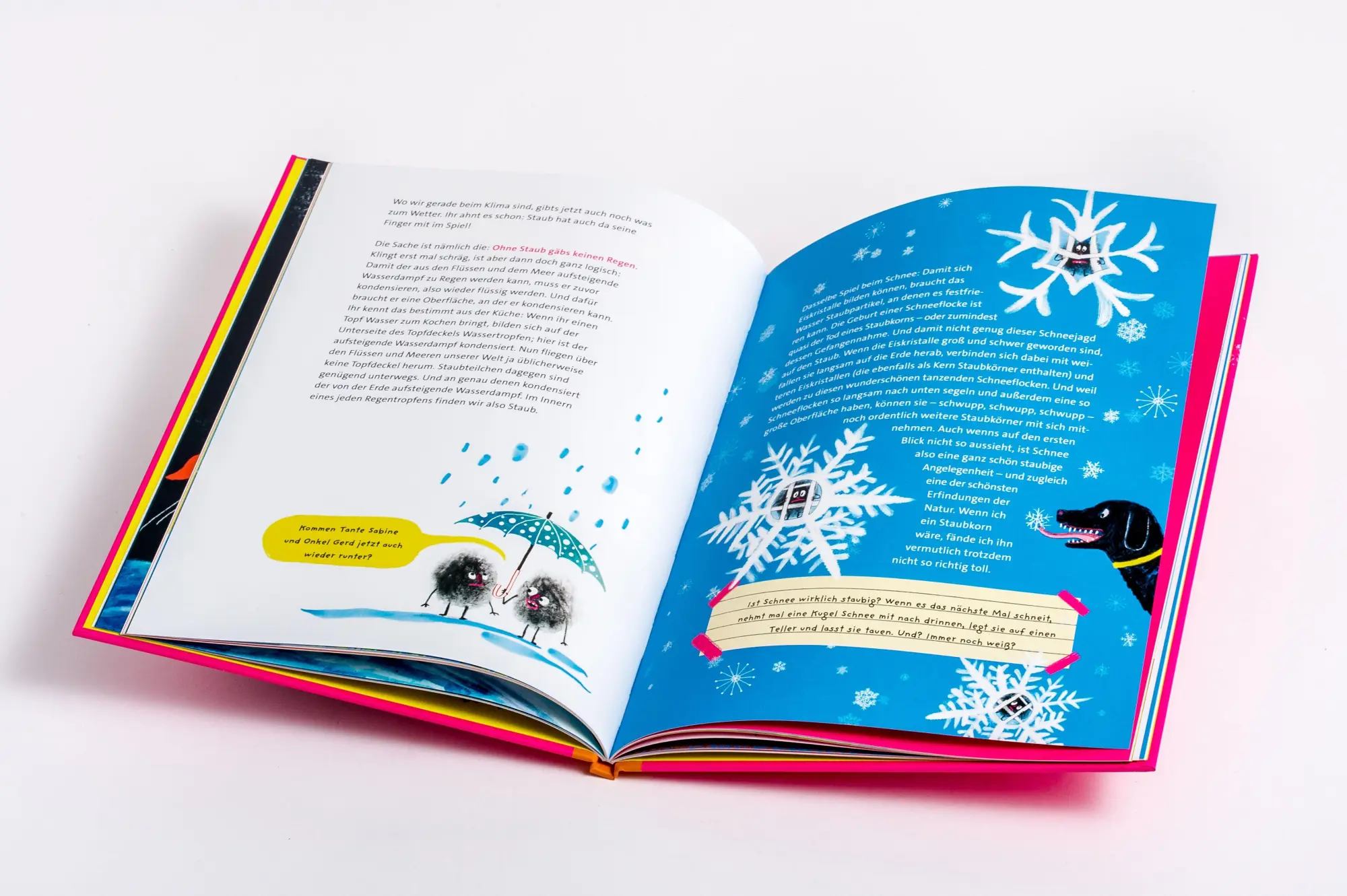 Bild: 9783864296833 | Staub | Silke Schlichtmann | Buch | 48 S. | Deutsch | 2025 | TULIPAN