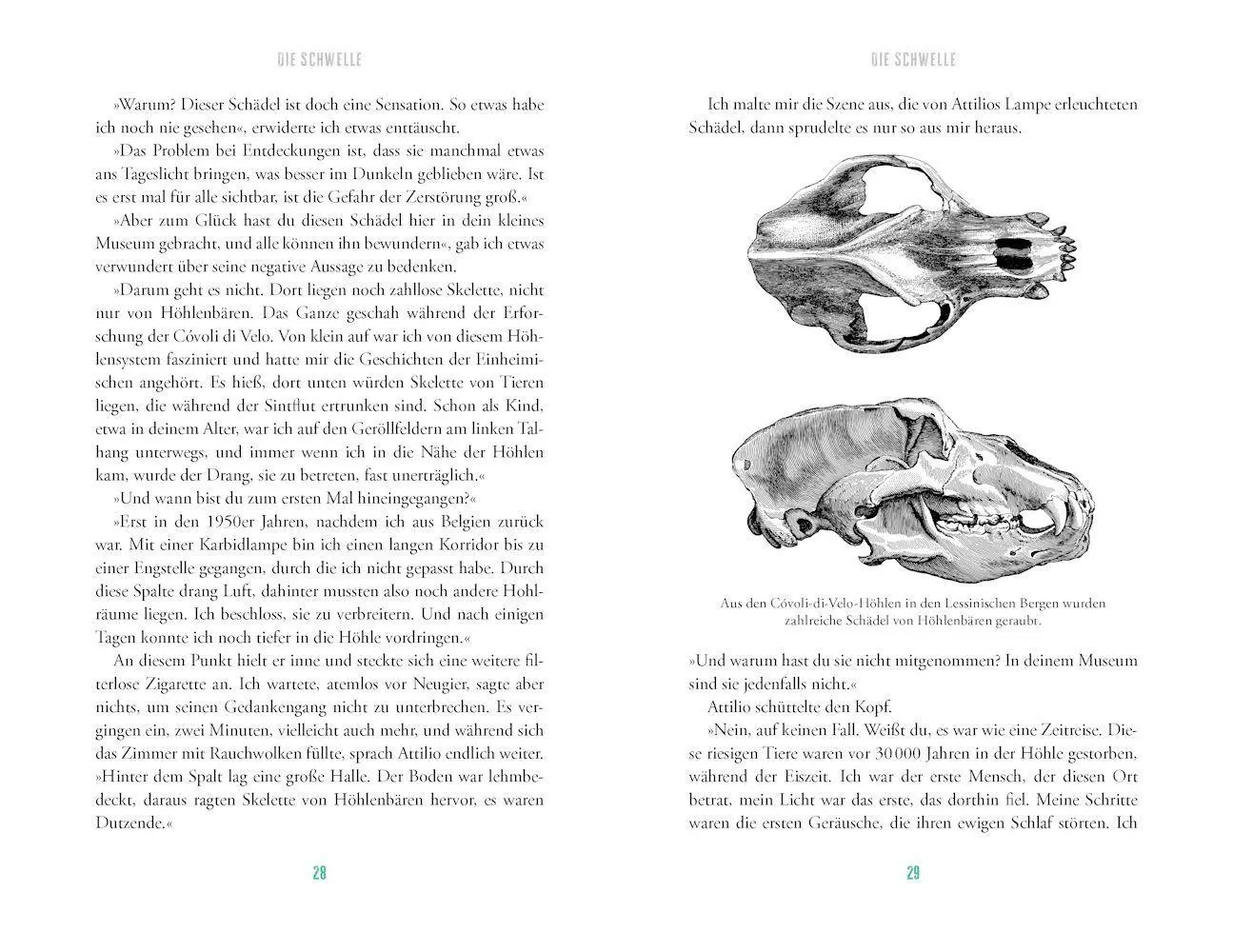 Bild: 9783957286833 | Der verborgene Kontinent | Francesco Sauro | Buch | 293 S. | Deutsch